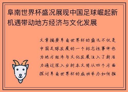 阜南世界杯盛况展现中国足球崛起新机遇带动地方经济与文化发展